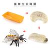 Simulación sólida Araña Naruto ciempiés modelo de insecto juguete para niños mariposa abeja animal decoración bandeja de arena