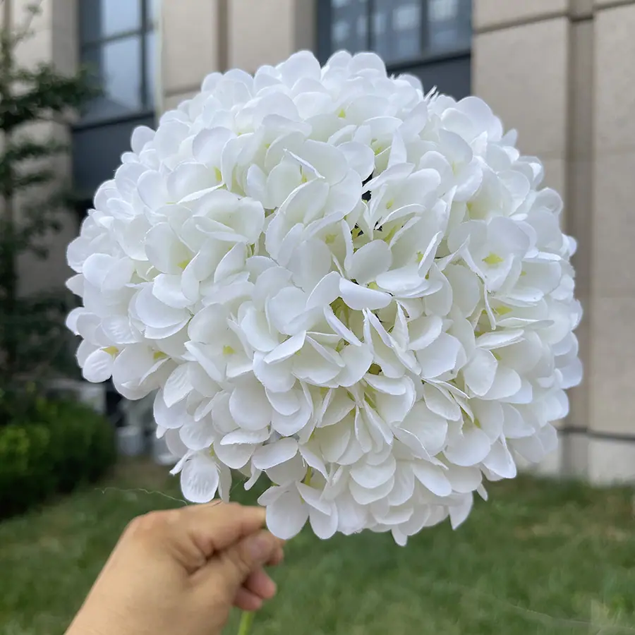 216片诗意美感大绣球-xzmxd-白色.JPG