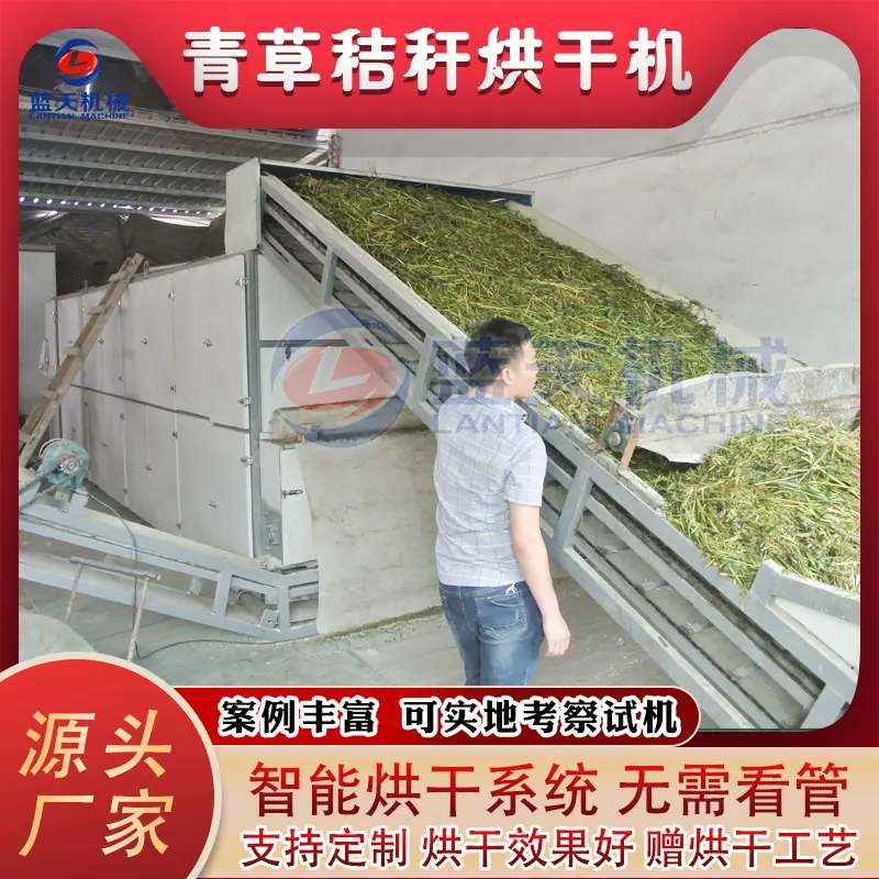 青草.jpg