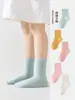 Calcetines de Otoño e Invierno para Niños y Niñas, Calcetines de Algodón Transpirables, Colores Caramelo, para Niños Mayores, Calcetines de Media Pantorrilla