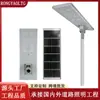 Poste de Rua Solar LED Transfronteiriço, Poste de Rua Solar Integrado de Alumínio para Exterior, Luzes Solares para Estrada Municipal de 8m