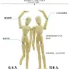 Figura Articulada de Madera Móvil Muñeca de Madera 5.5 pulgadas Modelo Pequeño de Madera Arte Boceto Artesanía en Madera Hecha a Mano Madera