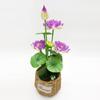 10 Nenúfares Artificiais Pequenos, Flores Decorativas, Flores Artificiais para Arranjos de Casamento, Flores de Plástico para Decoração de Interiores