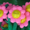 Juguete Inflable Personalizado de PVC Cactus Modelo Inflable de PVC Regalo Publicitario Inflable