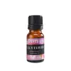 Aceite Esencial de Aromaterapia Soluble en Agua Máquina de Aromaterapia para Coche Humidificador Líquido Especial de Recarga Difusor Ambientador Fragancia de Larga Duración