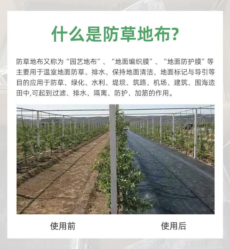 详情页-临沭华际塑编有限公司-1_06.jpg