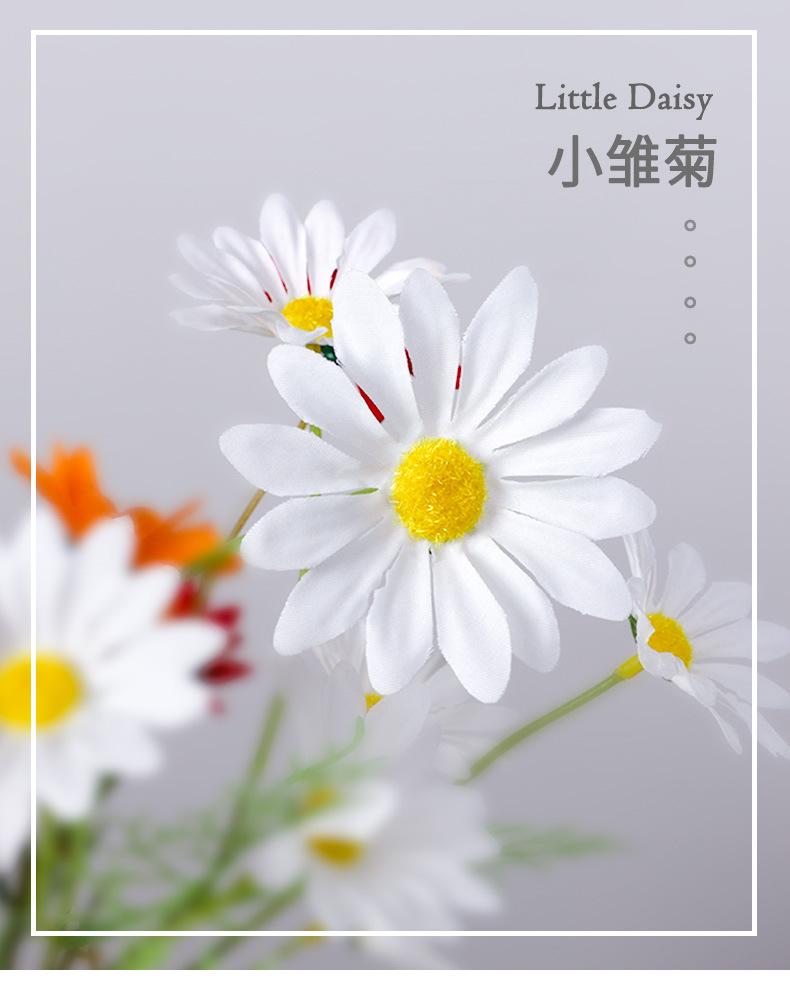详情页_01.jpg