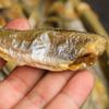 Celebridade da Internet grelhado amarelo corvina cabelo crocante rabo crocante 500 g/saco crocante pequeno amarelo corvina instantâneo peixe seco frutos do mar lanche comida