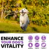 Fabricante de Multivitamínicos para Pets Mais Vendidos na Amazon e para Saúde de Articulações, Pele e Coração de Cães com Condroitina