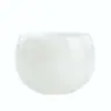 Taza de Té Grande de Cerámica con Patrón de Jade Helado, Porcelana Blanca de Dehua Porcelana de Jade Helado Taza de Té Personal Individual