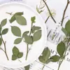 Tallos de Rosa, Muestras de Hojas de Plantas con Flores Prensadas, Fundas para Teléfono de Resina, Marcadores de Libros Educativos para Niños, Materiales para Manualidades DIY
