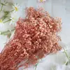 Pacote de Material DIY Flor Eterna 1g Gradiente Cabeça Grande Mosquitinho Estrela Milionária Buquê de Flores Secas Flor Eterna Flor Real