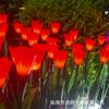 Lámpara de tulipán led linterna de simulación lámpara decorativa lámpara de ramo luz nocturna planta verde venta al por mayor linterna navideña lámpara decorativa