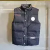 Comércio Transfronteiriço Canada Goose Glacier Primavera, Outono e Inverno Jaqueta Leve de Penas para Homens e Mulheres, Forro Interno de Colete de Moda de Alta Qualidade
