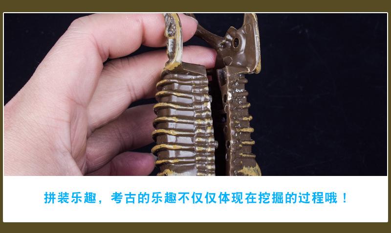 挖掘恐龙详情图8