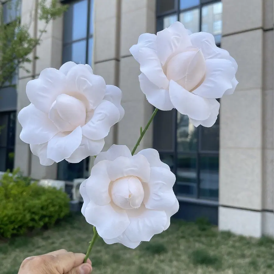 3头翻瓣仙子色玫瑰-浅香.JPG