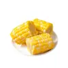 Milho de fruta pronto para comer, segmentos de milho doces e crocantes, cozido a vácuo, não precisa cozinhar, café da manhã fresco, lanche para dormitório estudantil, substituto de refeição