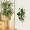 Pegatina de Puerta de Planta Verde Autoadhesiva Brup con Diseños de Monstera y Helecho para Entrada y Pared de Dormitorio Hs5460E