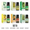 Humidificador de Aceite Esencial de Aromaterapia Incienso Especial Difusor de Piedra para Habitación de Casa Aceite Esencial Vegetal Soluble en Agua Lavanda