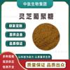 Dextrano de Ganoderma lucidum al 30 %. Extracto de Ganoderma lucidum. Polisacárido de Ganoderma lucidum. Betaglucano de grado alimenticio. Soluble en agua.
