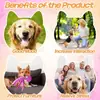 Juguetes Chirriantes para Perros - Juguetes de Felpa de Pulpo para Perros Masticadores Agresivos Sin Relleno Crujiente Duradero Interactivos