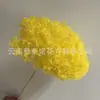 Flor Preservada Haste Única Hortênsia Anna Anna Folha Pequena Bella 40 Cores Personalizado Atacado Presente Dia dos Professores