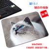 [Una generación de cabello] pequeño lindo gato tela antideslizante tapete para computadora arte estético simple borde bloqueado alfombrilla de ratón