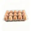 Cartón de Huevos Transparente de 15 Piezas Empaque de Plástico Charola para Huevos Evento Promocional Garantía de Calidad Huevo Antirrompible Charola de Huevos para Supermercado