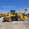 Minicargador agrícola pequeño LY-930 Liangzhuang con pluma extensible Nuevo cargador de 3 toneladas construcción de ingeniería multiuso