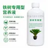 Solución Nutritiva Especial para Plantas de Palo Hierro, Previene el Amarillamiento de las Hojas, Promueve el Crecimiento de las Raíces, Fortalece las Plántulas y Nutre las Hojas Verdes; Fertilizante para Cuidado de Plantas en Maceta para el Hogar