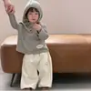 2026 Conjunto de Duas Peças para Bebê e Criança Pequena com Capuz Manga Longa Outono Crianças Versátil Listrado Retrô Moletom Calça Casual Solta