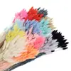 Ramo de Flores Secas de Hierba Cola de Conejo de Colores, Ramo de Muñeca de Flores Reales, Materiales DIY de Flores Eternas