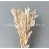 Arranjo de flores eternas folha laranja com ramos de folhagem, materiais florais DIY com toque de alta qualidade, atacado de fabricante de Yunnan, decoração de flores eternas