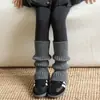 Botas y Calcetines de Algodón para Niños, Calcetines de Raya Vertical de Felpa de Color Puro para Otoño e Invierno, Cubre Piernas de Pantorrilla Base Estilo Coreano para Niña