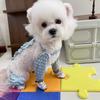 Pantalones a Prueba de Polvo para Pasear Gatos y Perros Pequeños y Medianos, Pantalones de Cuatro Patas a Prueba de Suciedad para Todas las Estaciones para Perros Pequeños y Medianos