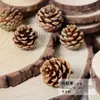 Rodajas de madera de piña de Navidad, materiales de cáscara de bellota y frutas secas, especímenes de plantas, marco de fotos, materiales de flores secas para manualidades DIY, decoración de embalaje