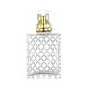 Suministro puntual B065 - Frascos de perfume de vidrio cuadrados de rejilla de 100 ml, frascos de spray cosméticos, botellas vacías