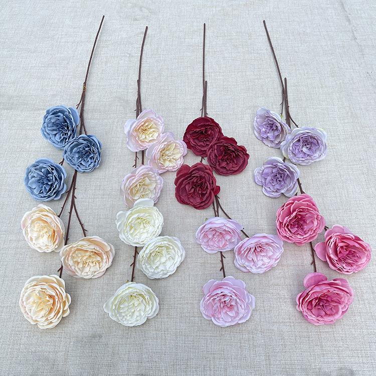 主图 花溪谷.JPG