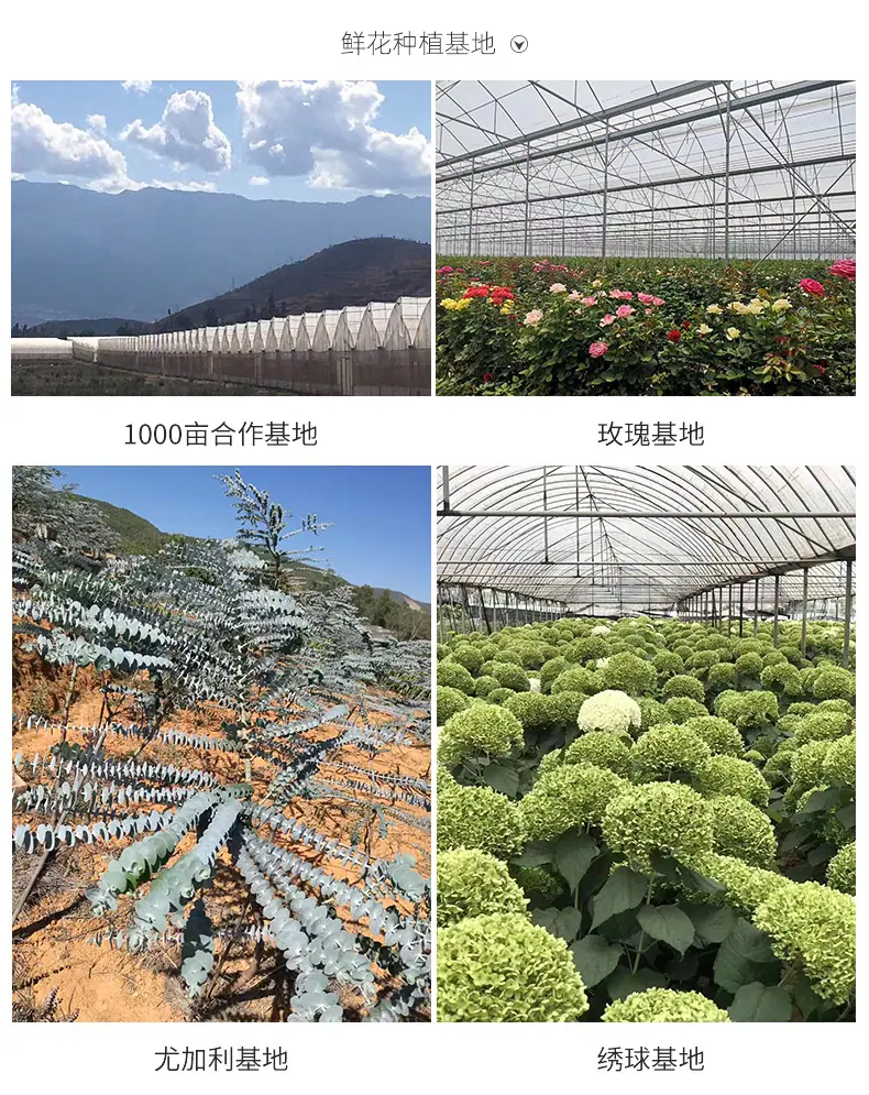 内页_12