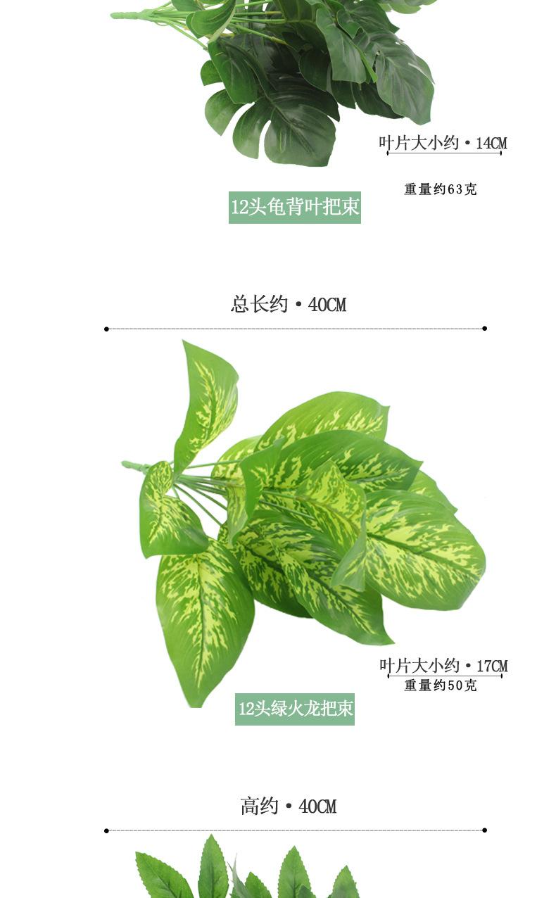 植物把束_03