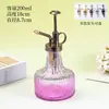 Vidrio Color Glaciar Atomizador Pequeño Regadera para Suculentas de Jardín Plantas en Maceta Fabricante Mayorista de Botella Atomizadora para Regar Flores del Hogar