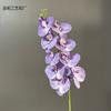 Phalaenopsis 9 serigrafía Phalaenopsis flor de boda decoración del hogar flor falsa flor de seda comercio exterior transfronterizo mayoreo