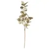 Envío Directo de Fábrica de Accesorios de Fotografía de Hoja de Eucalipto Premium de Tres Ramas Transfronterizos, Paisajes de Jardín, Decoraciones Artificiales de Flores para Bodas