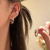 Aretes de aro liso exagerados europeos y americanos para mujer, temperamento nicho de lujo ligero, aretes con sensación de alta gama, aretes explosión de aguja de plata 925 al por mayor