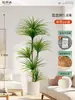 Plantas Verdes Artificiais de Alta Qualidade para Decoração de Sala de Estar, Planta Realista Falsa de Figueira-da-Índia Preta para Decoração de Sala de Transmissão ao Vivo