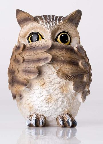 微信截图_20240121130020