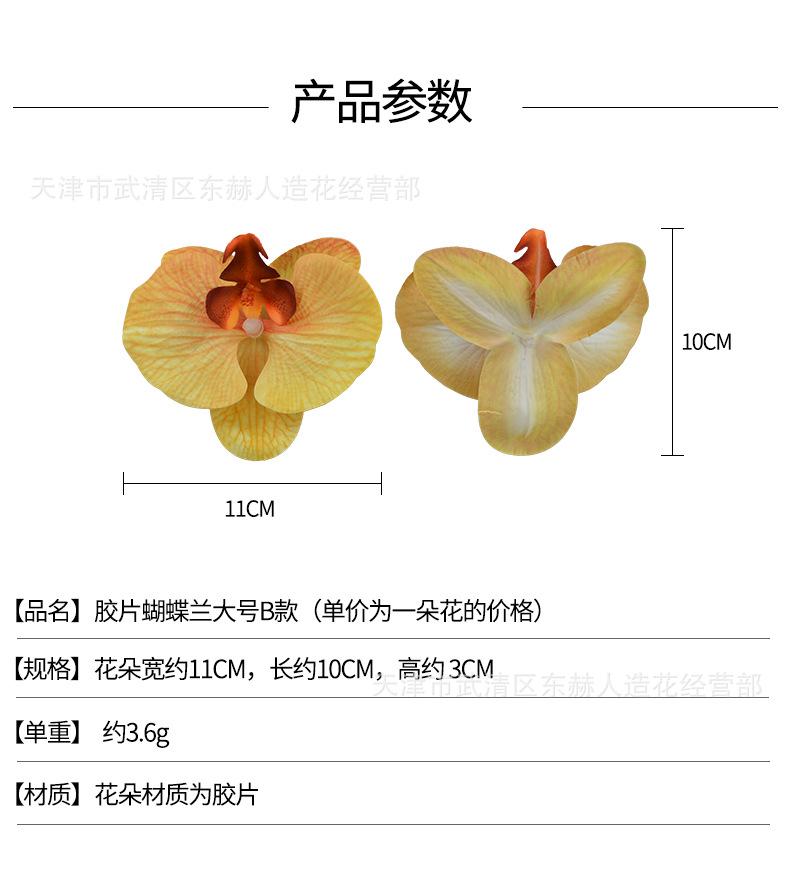 详情_01.jpg