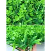 Planta artificial de pared de simulación, planta verde, césped artificial, césped artificial, sala de estar, flor de plástico falsa, cabecera de puerta, pared de fondo de balcón, decoración, hierba