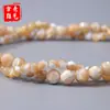 Cuentas Sueltas de Concha de Color Natural, Cuentas de Concha Modernas y Sencillas para Accesorios Hechos a Mano, Collares, Pulseras y Componentes al por Mayor
