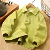 Roupa Infantil para Meninos, Moletom Estiloso com Gola Polo, Blusa Collared Tendência Estilo Coreano para Primavera e Outono, Atacado para Crianças Mais Velhas